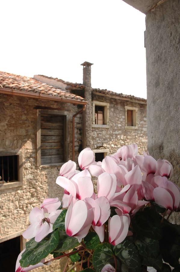 Albergo Diffuso Valcellina E Val Vajont In Erto Exterior foto